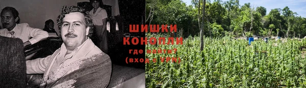 прущие крисы Баксан